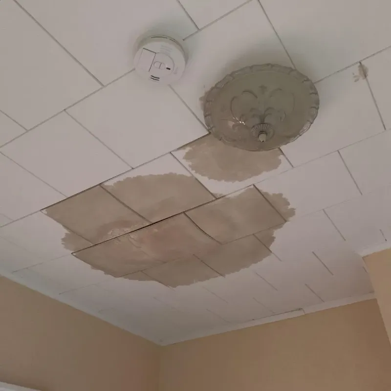 Ceiling Water Damage Repair in Tipp City, OH