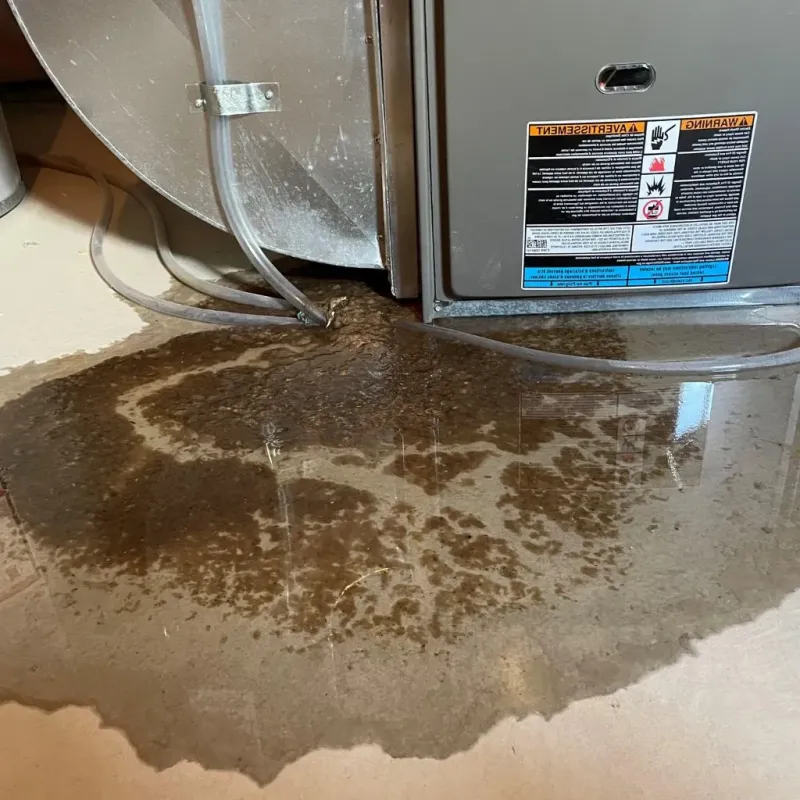 Pipe Burst and Leak Restoration in Tipp City, OH