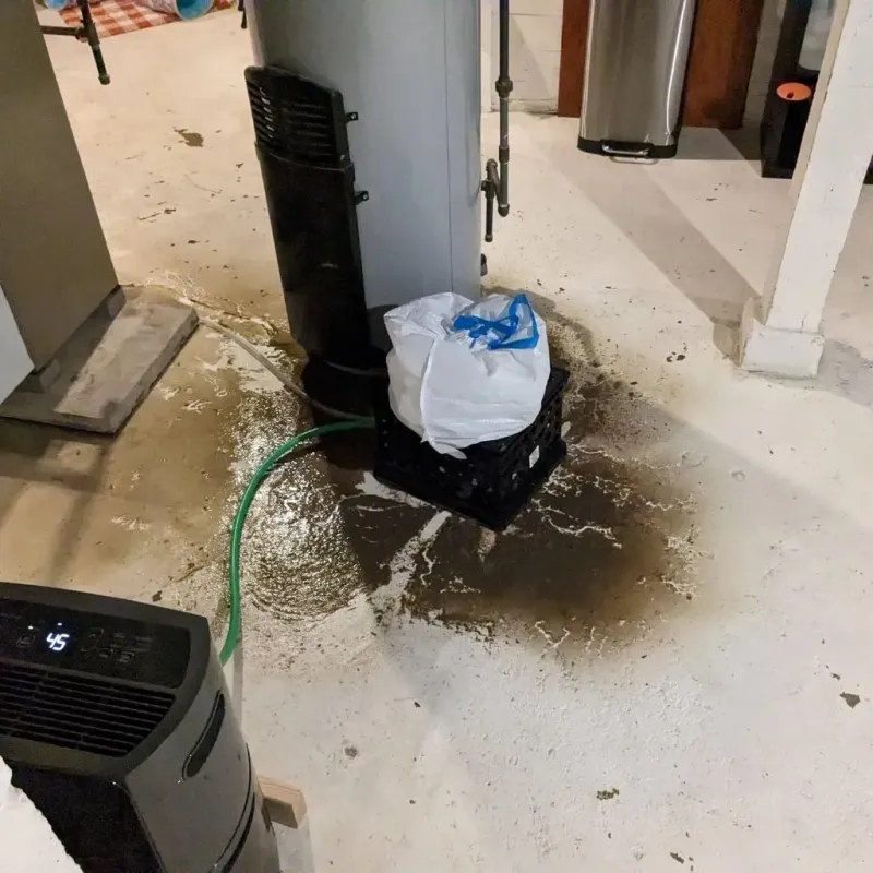 Sewage Backup Cleanup Service in Tipp City, OH